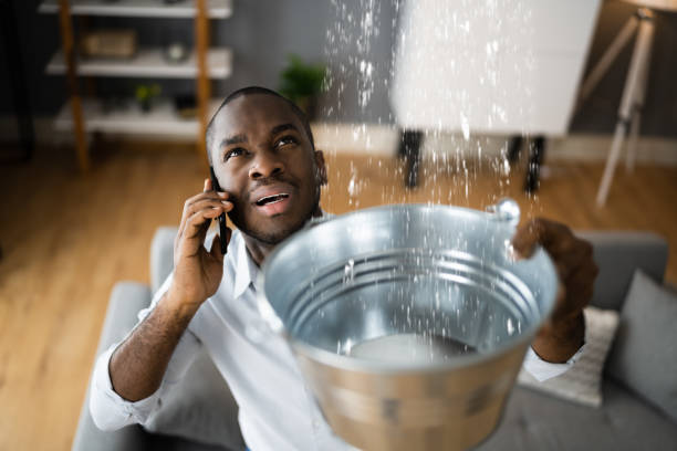 Best Ceiling and Wall Water Damage Repair in Jasper, TN